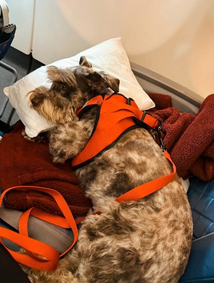 WhatsApp Image 2025-07-24 at 14.17.32