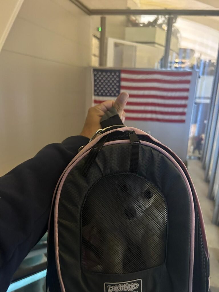 WhatsApp Image 2025-07-24 at 14.17.33