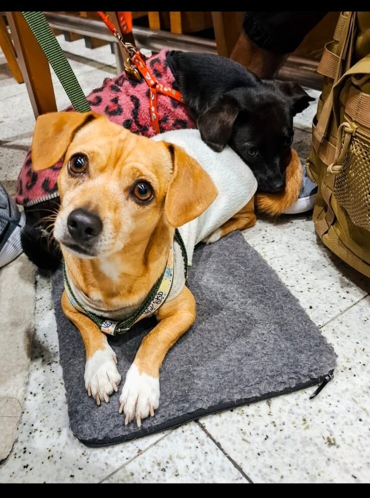 WhatsApp Image 2025-07-24 at 14.17.34