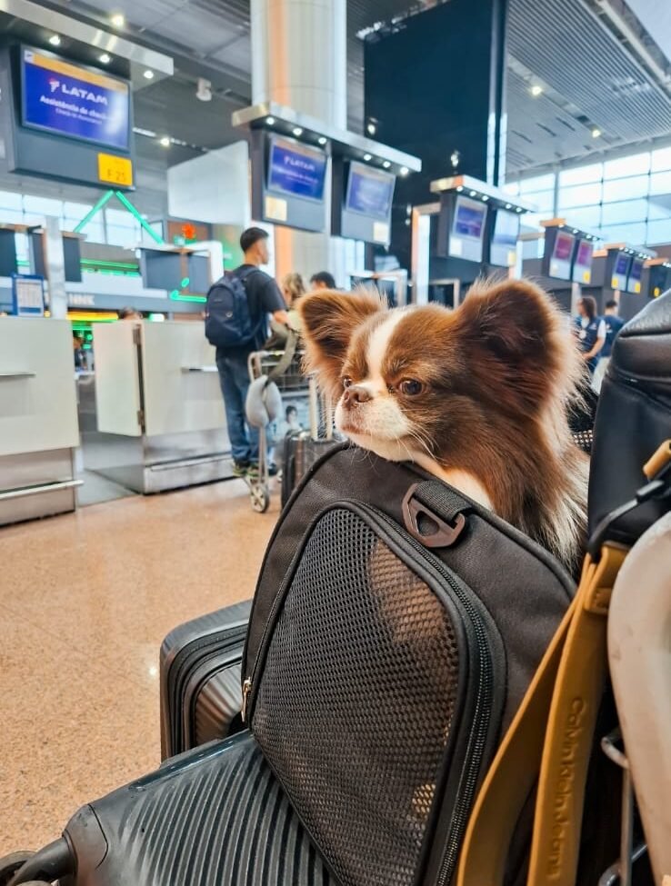 WhatsApp Image 2025-07-24 at 14.17.35