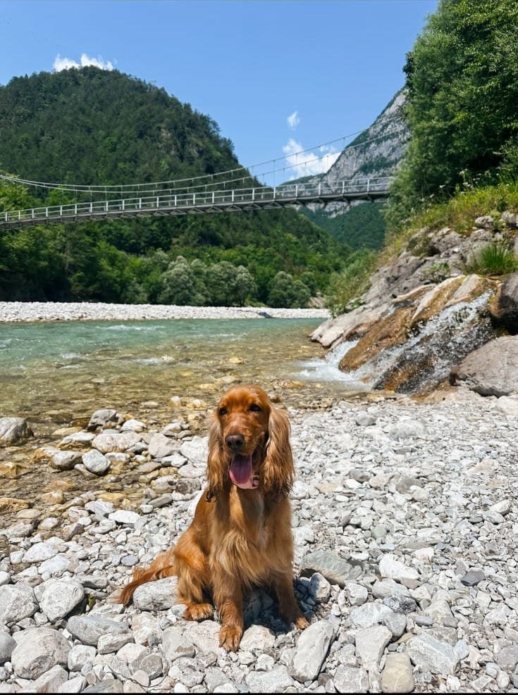 WhatsApp Image 2025-07-24 at 14.17.36