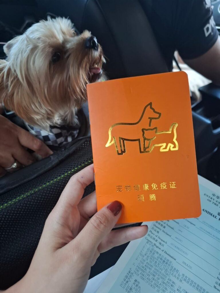 WhatsApp Image 2025-07-24 at 14.17.38