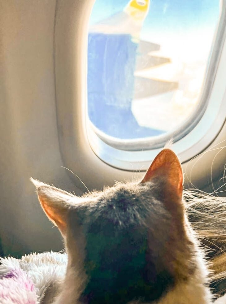 WhatsApp Image 2025-07-24 at 14.17.40