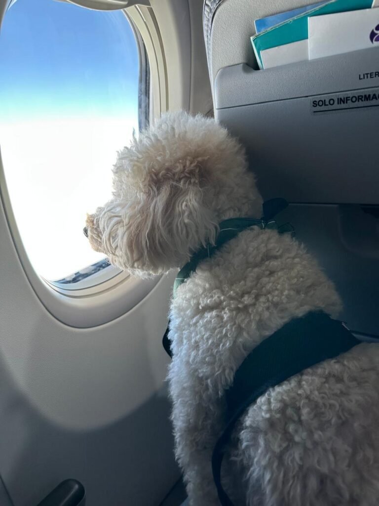 WhatsApp Image 2025-07-24 at 16.32.26